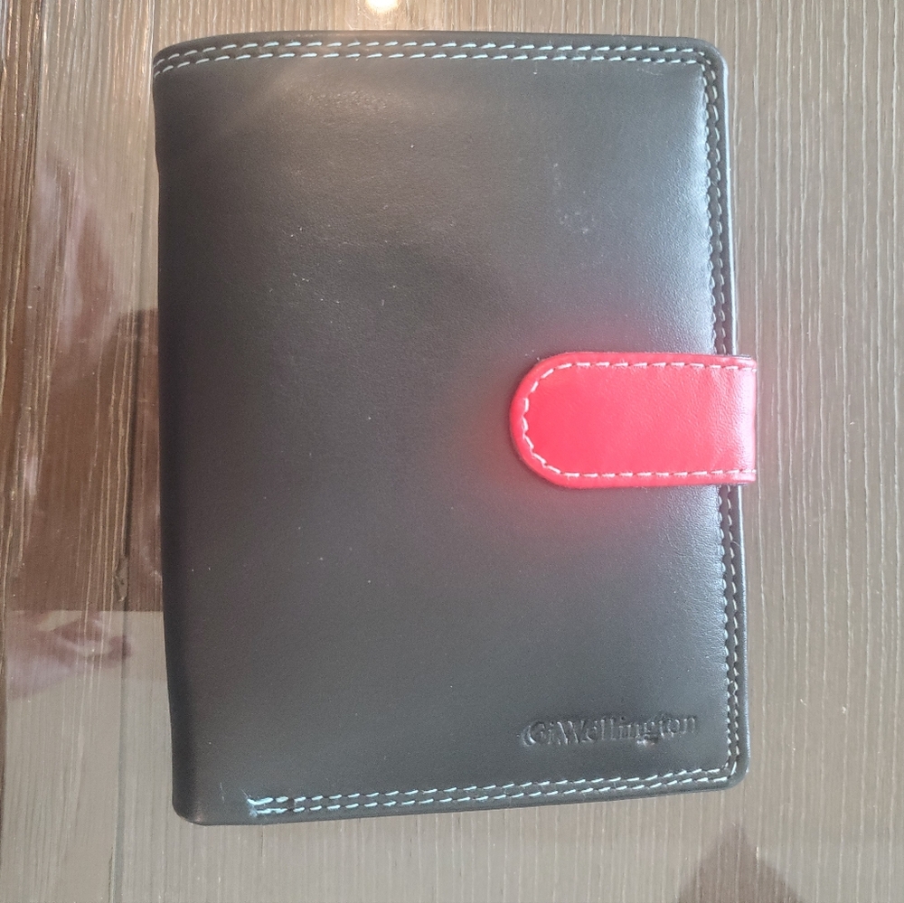 NWOT GiWellington Color Block Wallet